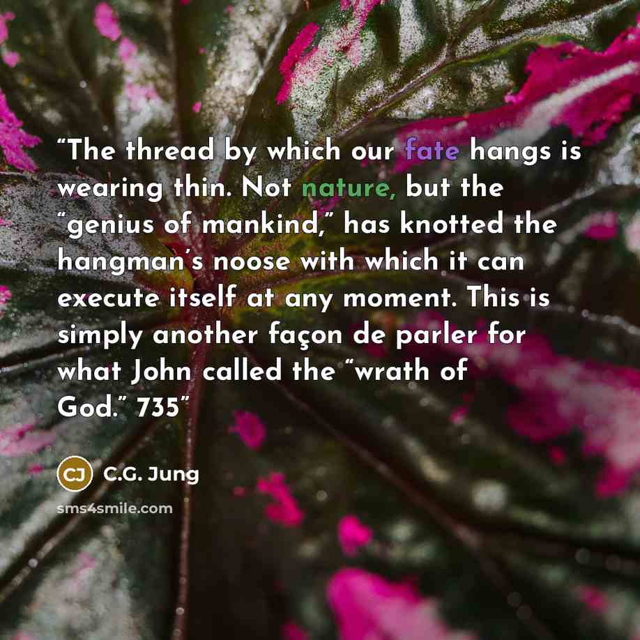 “The thread by which our fate hangs is wearing thin. Not nature, but the “genius of mankind,” has knotted the hangman’s noose with which it can execute itself at any moment. This is simply another façon de parler for what John called the “wrath of God.” 735” quote by C.G. Jung