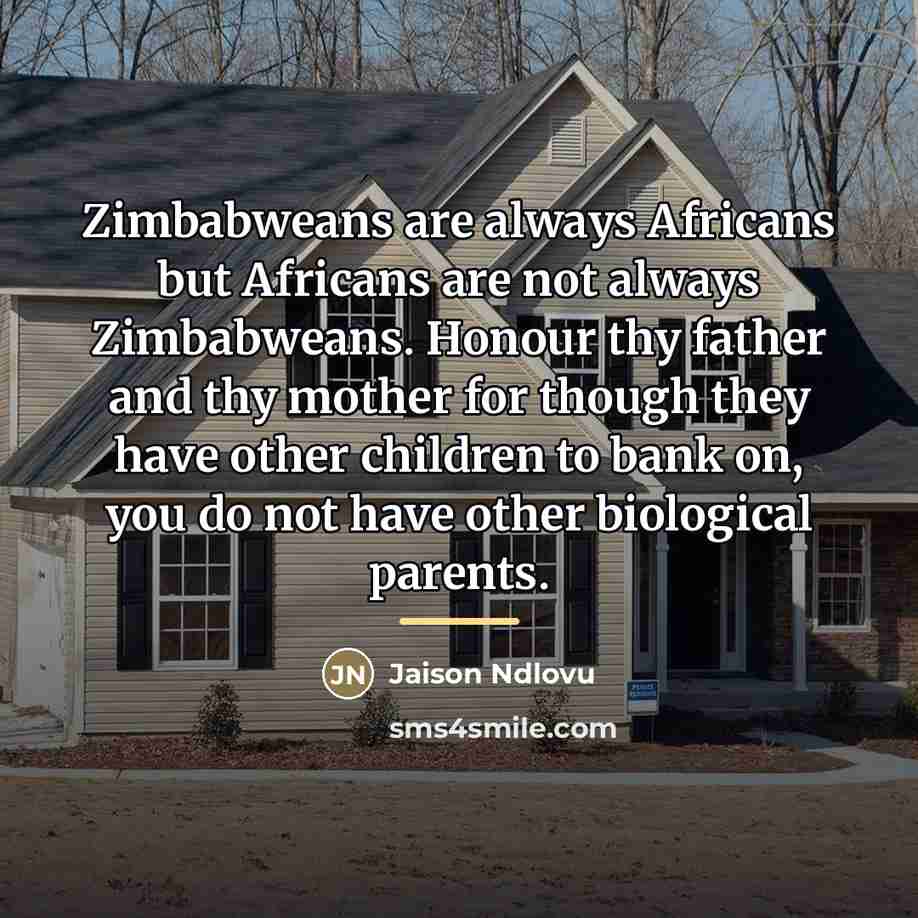 “Zimbabweans are always Africans but Africans are not always Zimbabweans.…” quote by Jaison Ndlovu