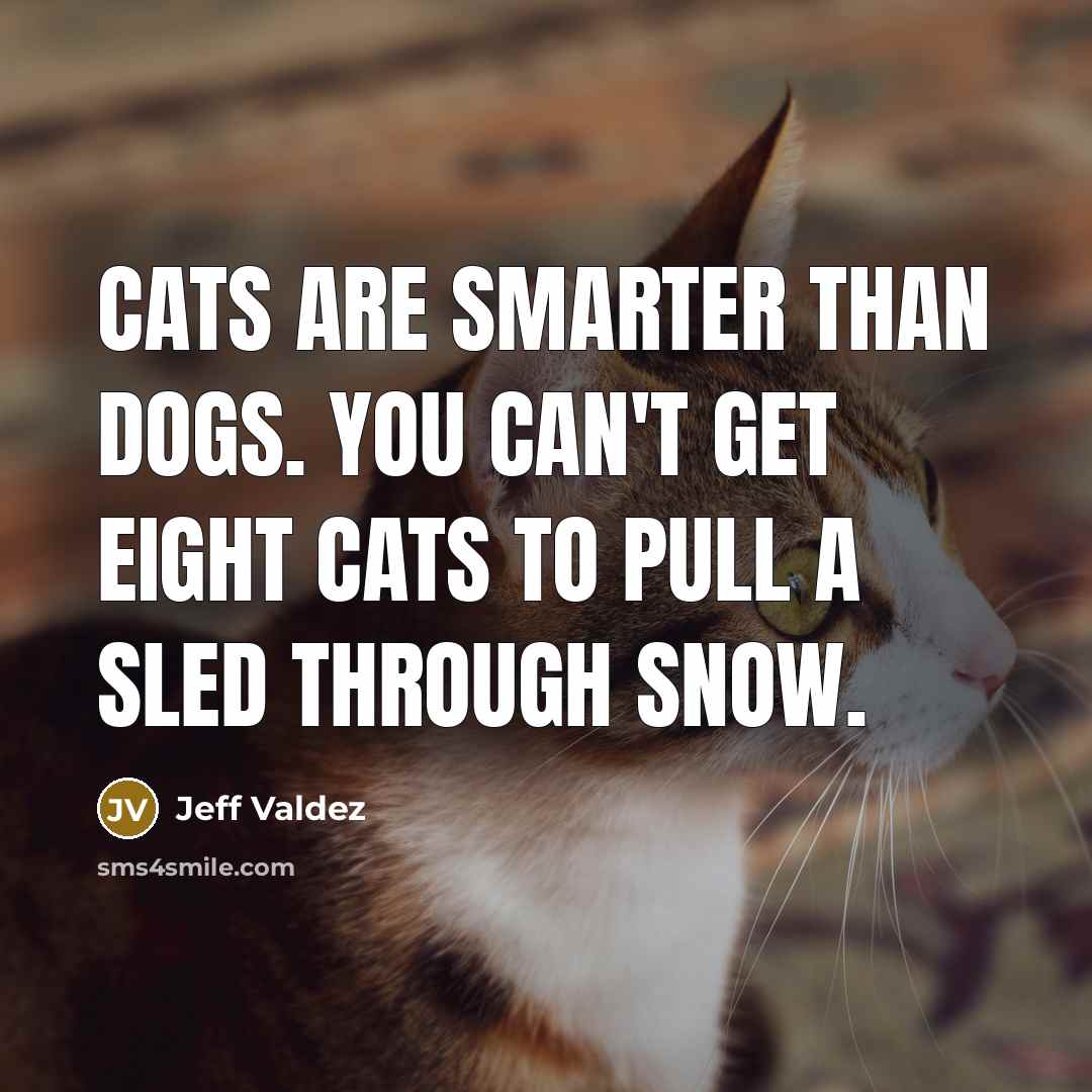 “Cats are smarter than dogs. You can't get eight cats…” quote by Jeff Valdez