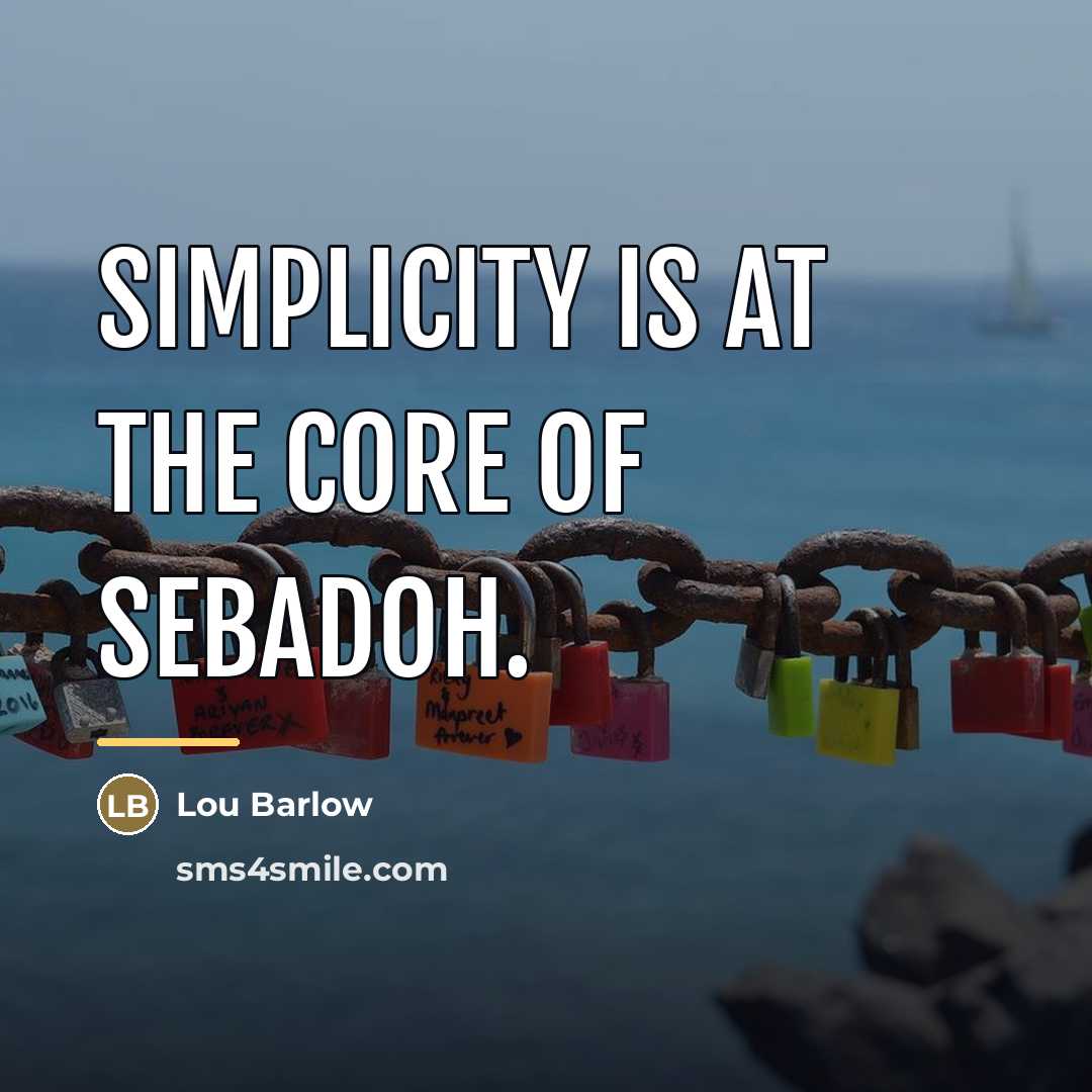 “Simplicity is at the core of Sebadoh.…” quote by Lou Barlow