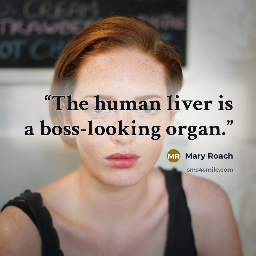 “The human liver is a boss-looking organ.” quote by Mary Roach