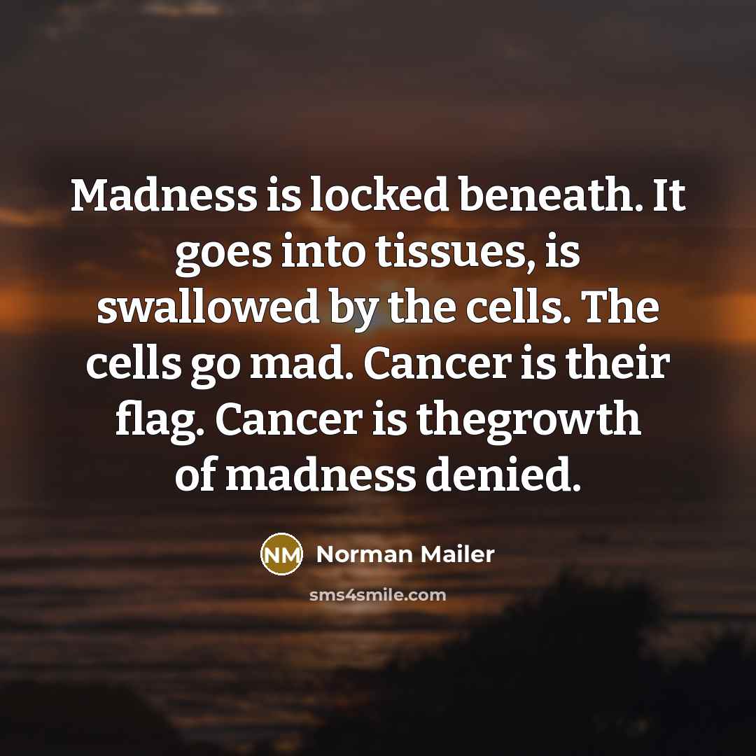“Madness is locked beneath. It goes into tissues, is swallowed…” quote by Norman Mailer