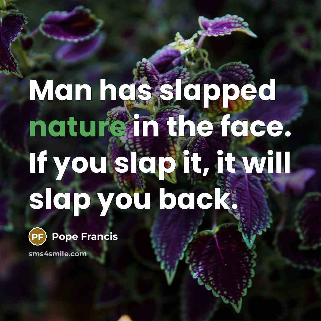 “Man has slapped nature in the face. If you slap…” quote by Pope Francis