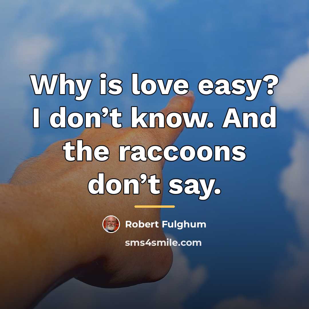 “Why is love easy? I don’t know. And the raccoons…” quote by Robert Fulghum