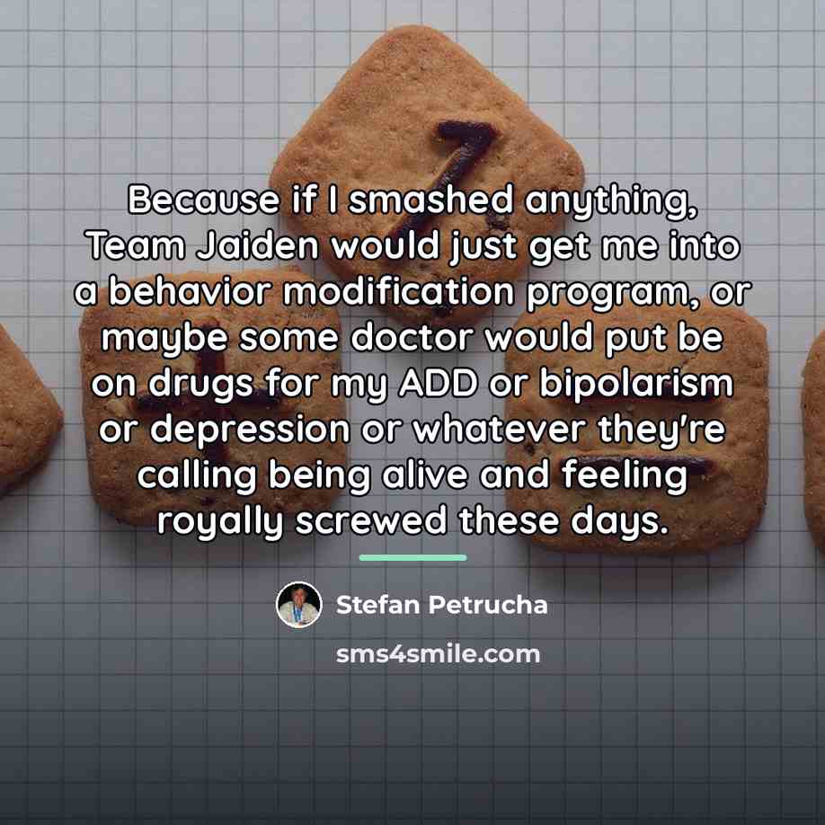 “Because if I smashed anything, Team Jaiden would just get…” quote by Stefan Petrucha