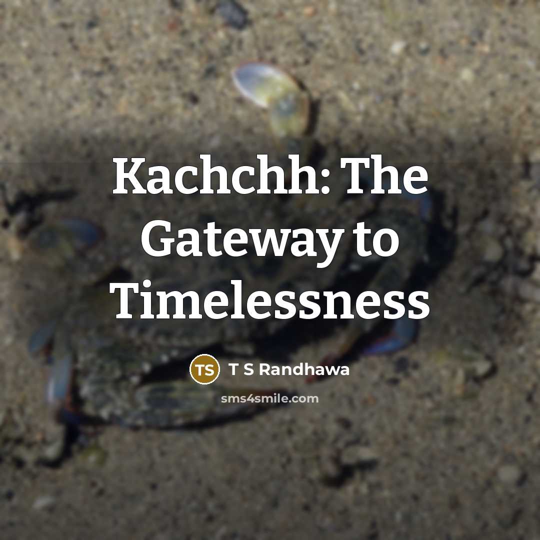 “Kachchh: The Gateway to Timelessness” quote by T S Randhawa