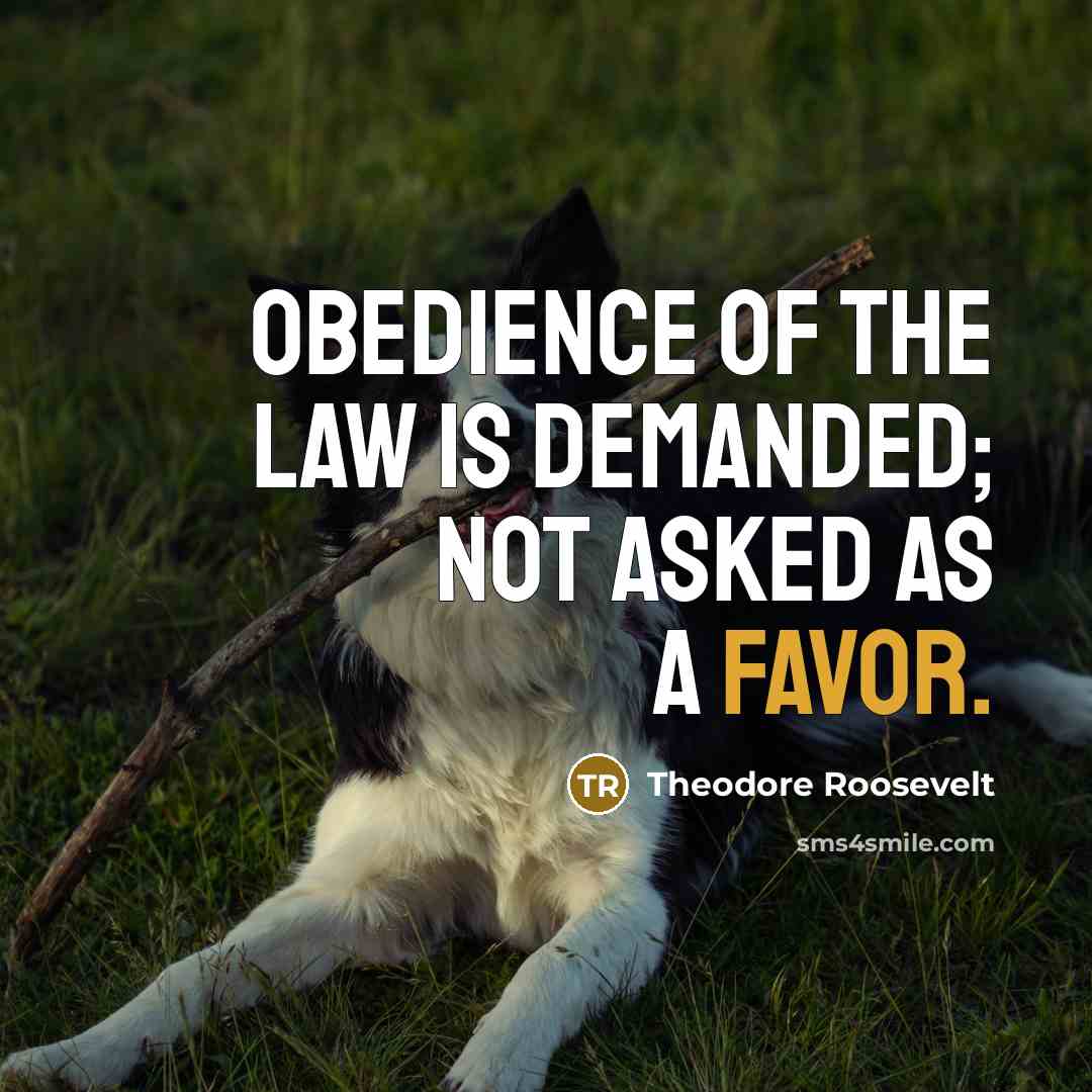 “Obedience of the law is demanded; not asked as a…” quote by Theodore Roosevelt