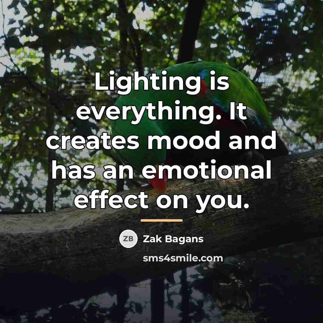 “Lighting is everything. It creates mood and has an emotional…” quote by Zak Bagans