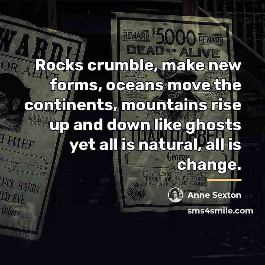 “Rocks crumble, make new forms, oceans move the continents, mountains…” quote by Anne Sexton