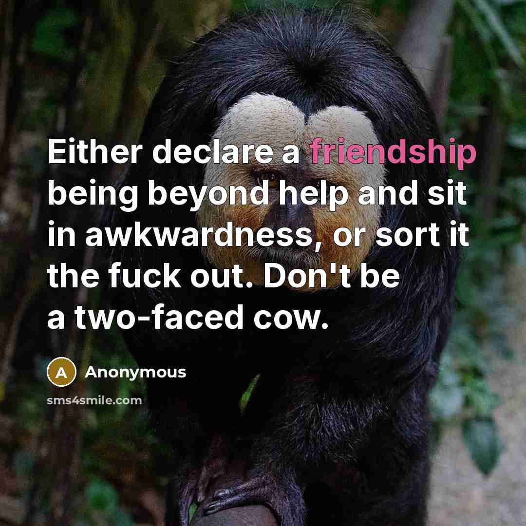 “Either declare a friendship being beyond help and sit in awkwardness, or sort it the fuck out. Don't be a two-faced cow.” quote by Anonymous