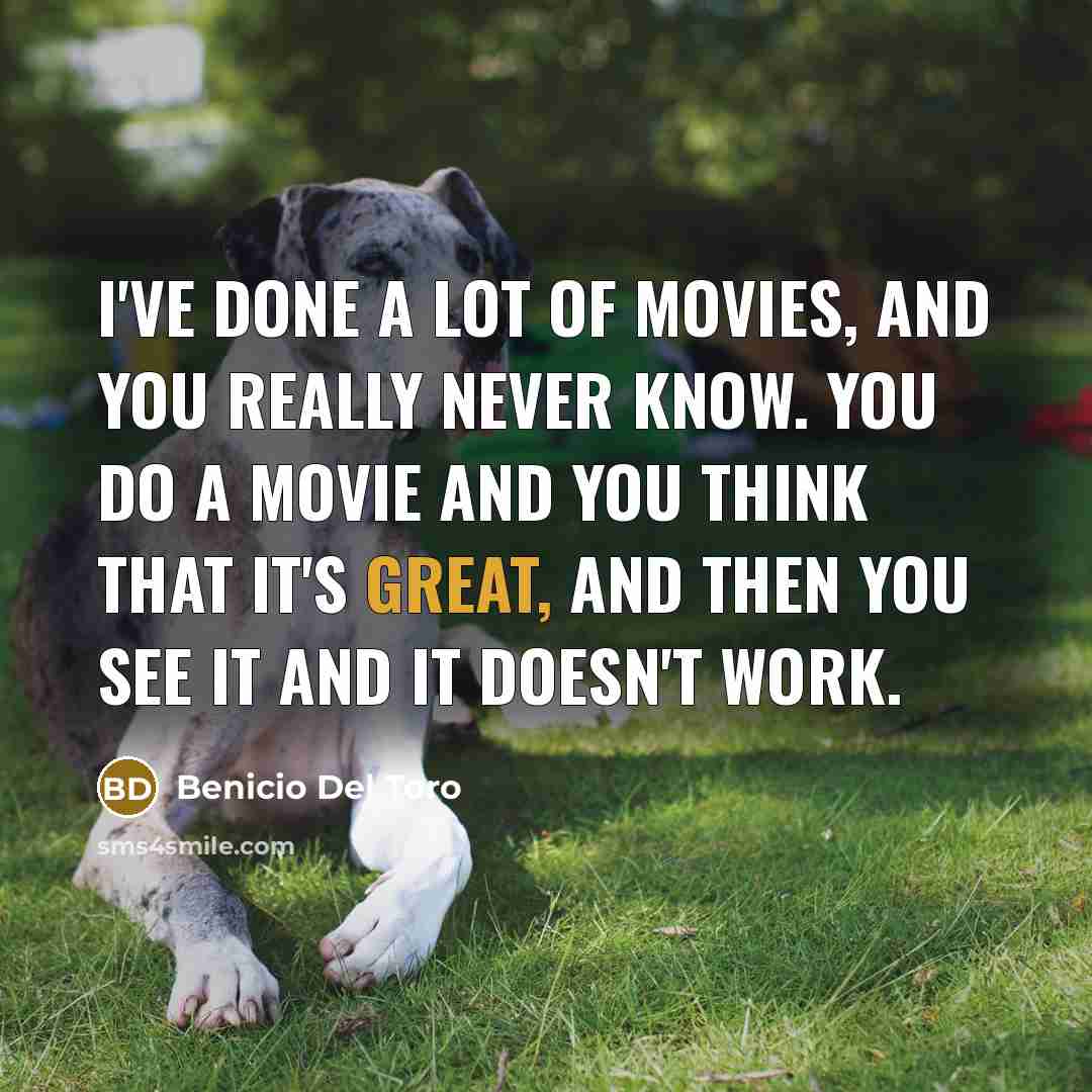 “I've done a lot of movies, and you really never…” quote by Benicio Del Toro