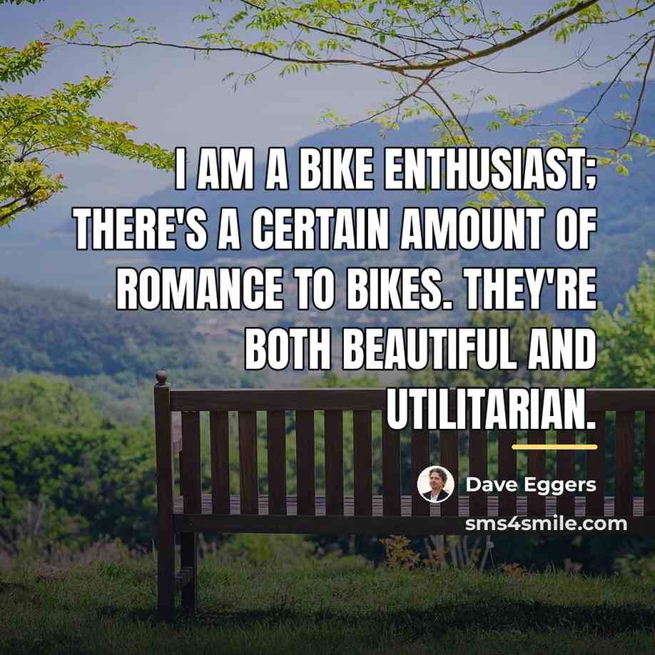 “I am a bike enthusiast; there's a certain amount of…” quote by Dave Eggers
