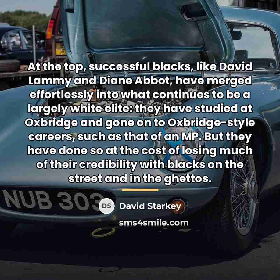 “At the top, successful blacks, like David Lammy and Diane…” quote by David Starkey