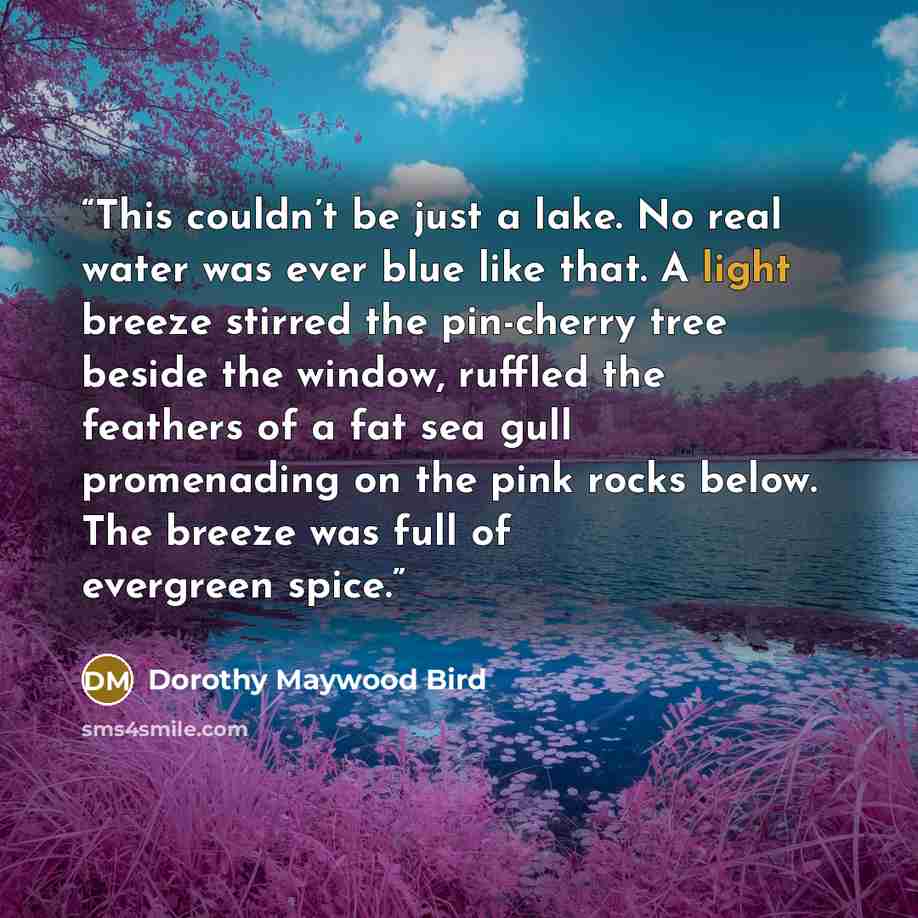 “This couldn’t be just a lake. No real water was ever blue like that. A light breeze stirred the pin-cherry tree beside the window, ruffled the feathers of a fat sea gull promenading on the pink rocks below. The breeze was full of evergreen spice.” quote by Dorothy Maywood Bird