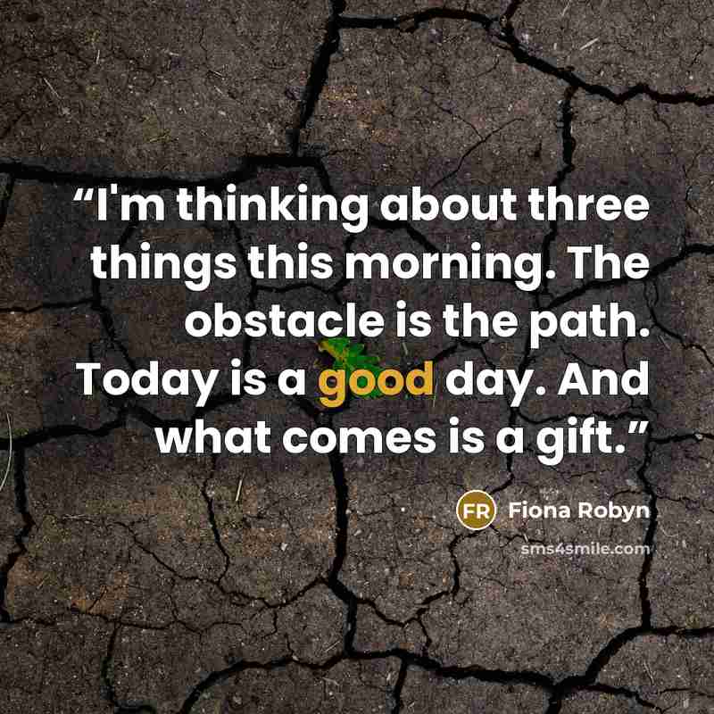 “I'm thinking about three things this morning. The obstacle is the path. Today is a good day. And what comes is a gift.” quote by Fiona Robyn