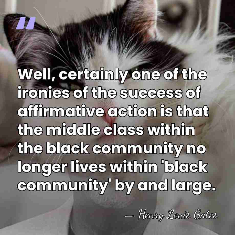Well, certainly one of the ironies of the success of affirmative action&hellip; - Henry Louis Gates