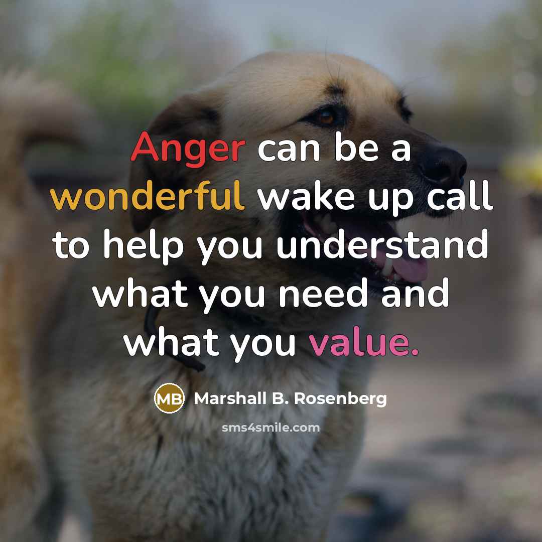 “Anger can be a wonderful wake up call to help you understand what you need and what you value.” quote by Marshall B. Rosenberg