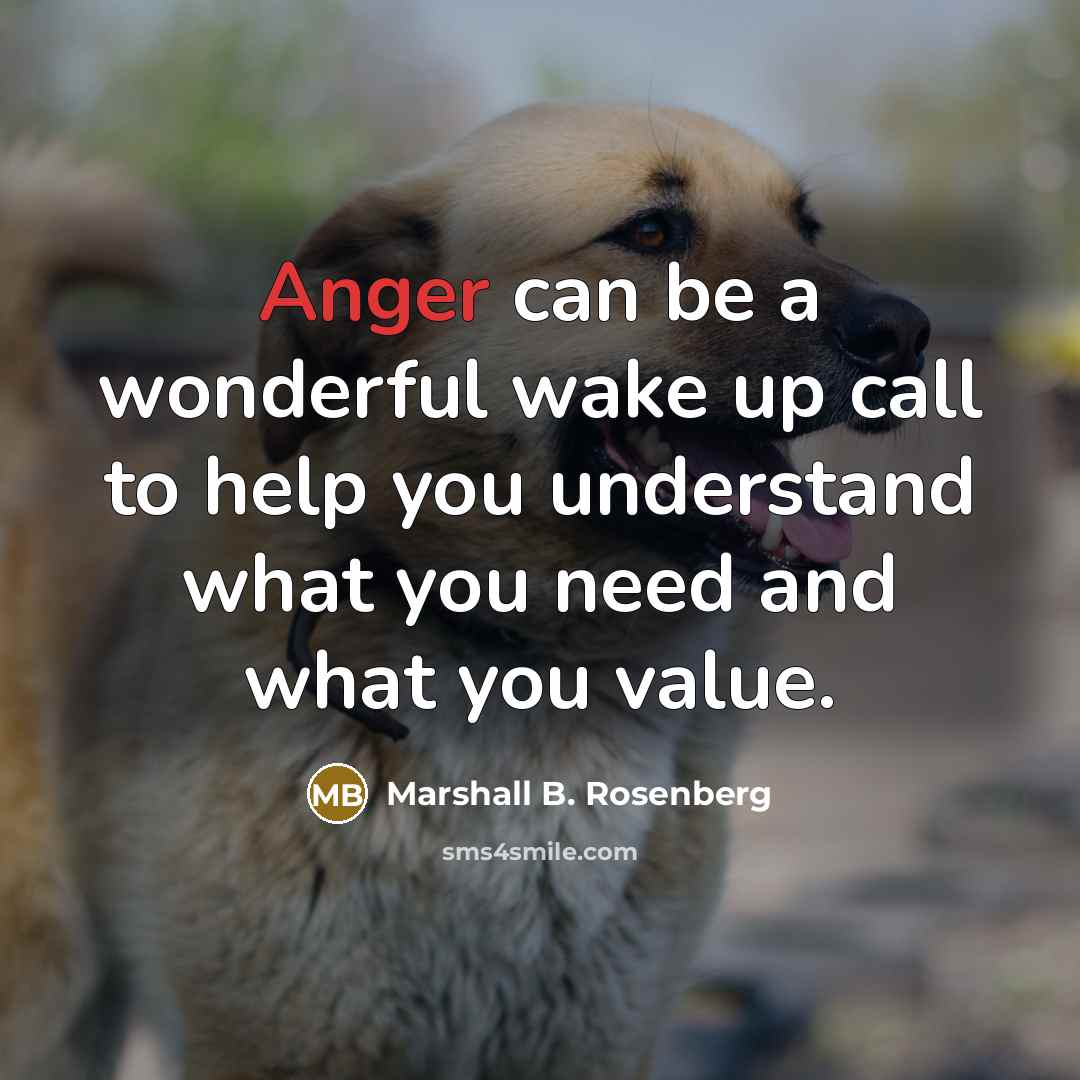 “Anger can be a wonderful wake up call to help…” quote by Marshall B. Rosenberg
