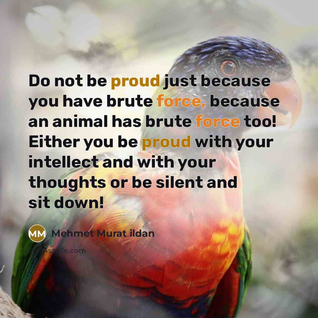 “Do not be proud just because you have brute force,…” quote by Mehmet Murat Ildan