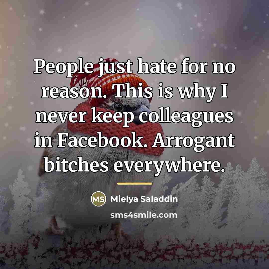 “People just hate for no reason. This is why I…” quote by Mielya Saladdin