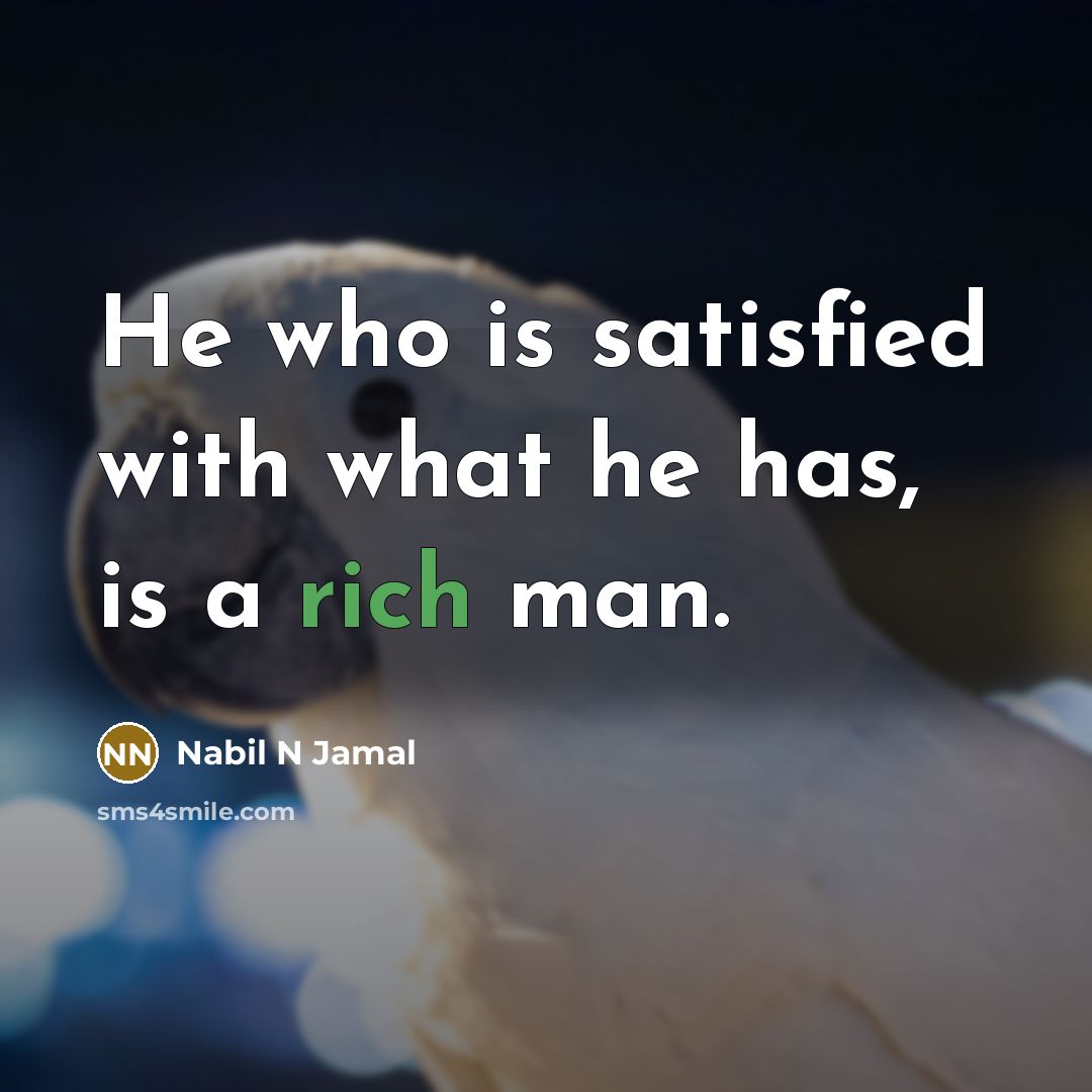 “He who is satisfied with what he has, is a…” quote by Nabil N Jamal