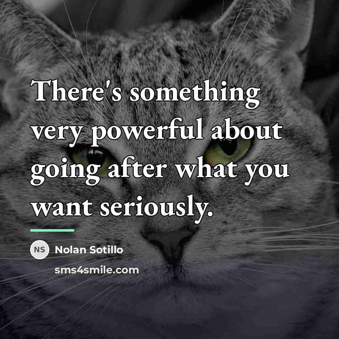 “There's something very powerful about going after what you want…” quote by Nolan Sotillo