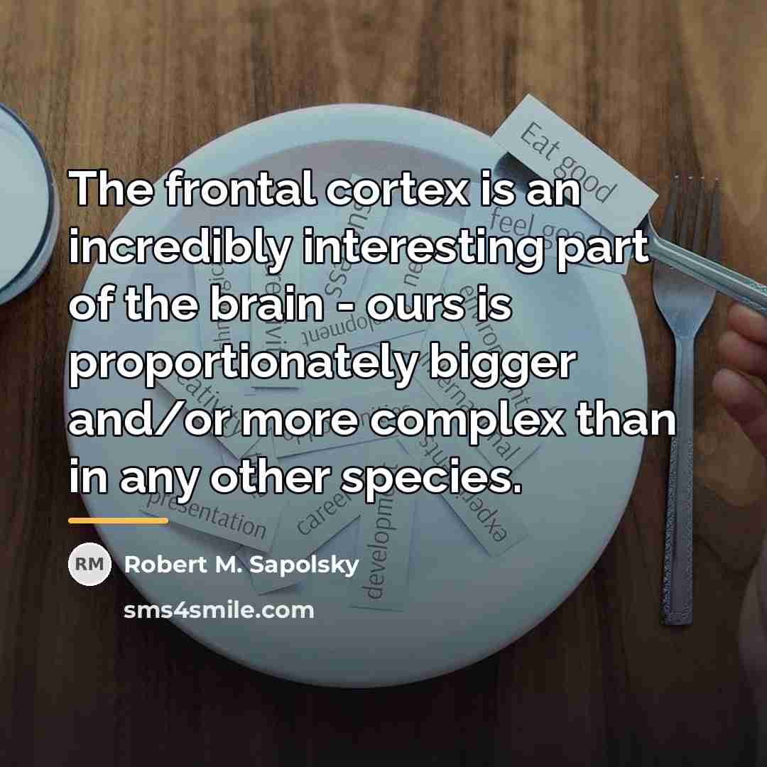 “The frontal cortex is an incredibly interesting part of the…” quote by Robert M. Sapolsky