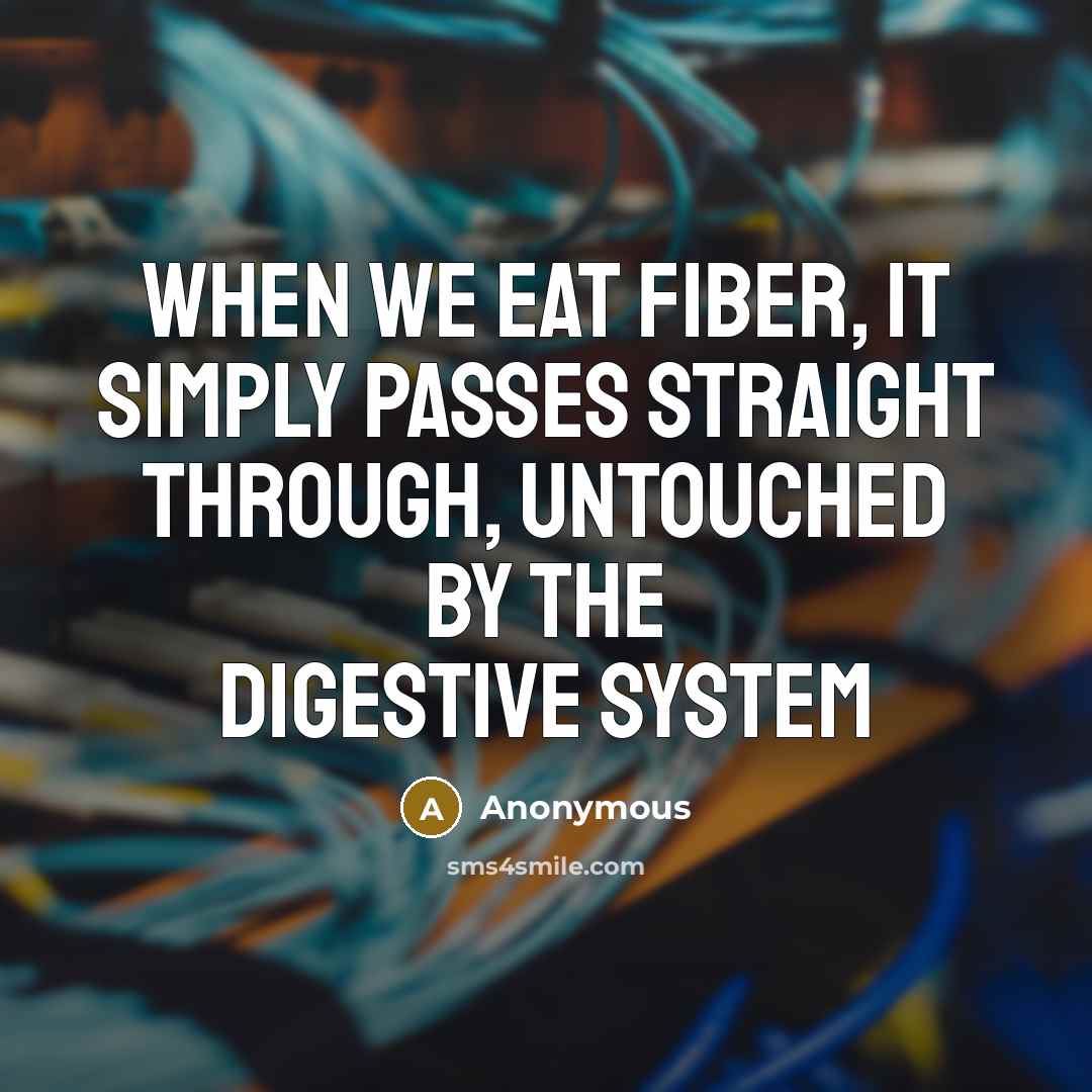 “When we eat fiber, it simply passes straight through, untouched by the digestive system” quote by Anonymous