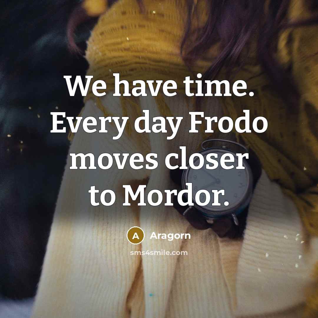 “We have time. Every day Frodo moves closer to Mordor.…” quote by Aragorn