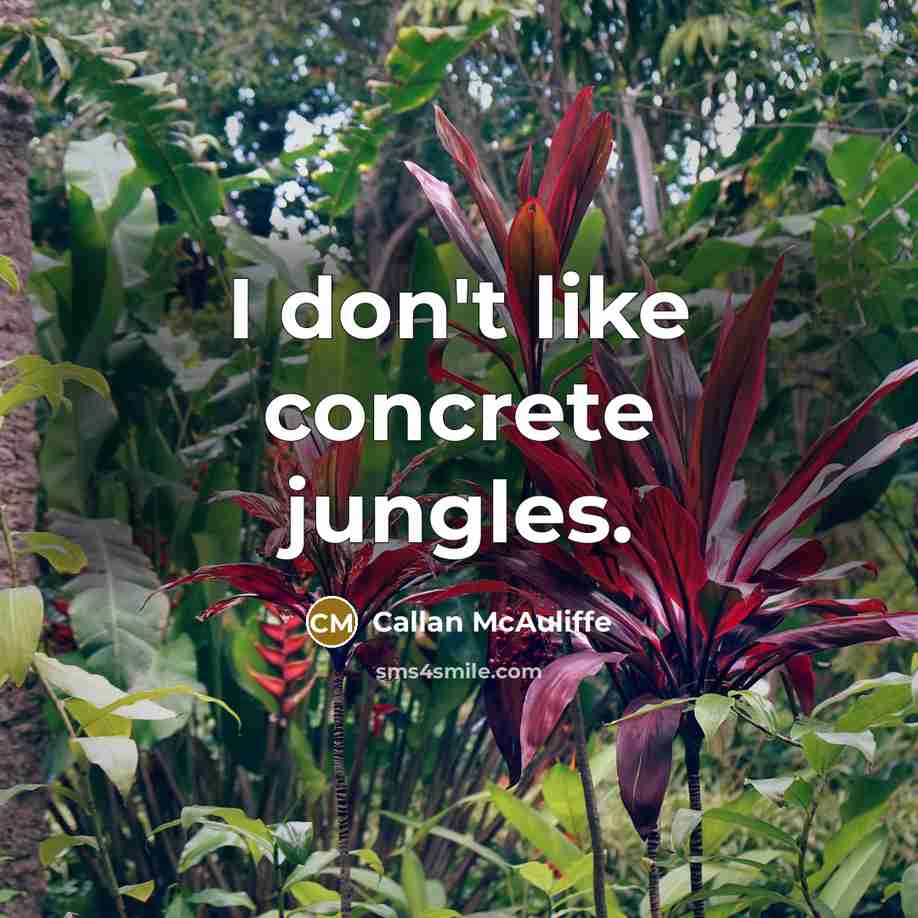 “I don't like concrete jungles.…” quote by Callan McAuliffe