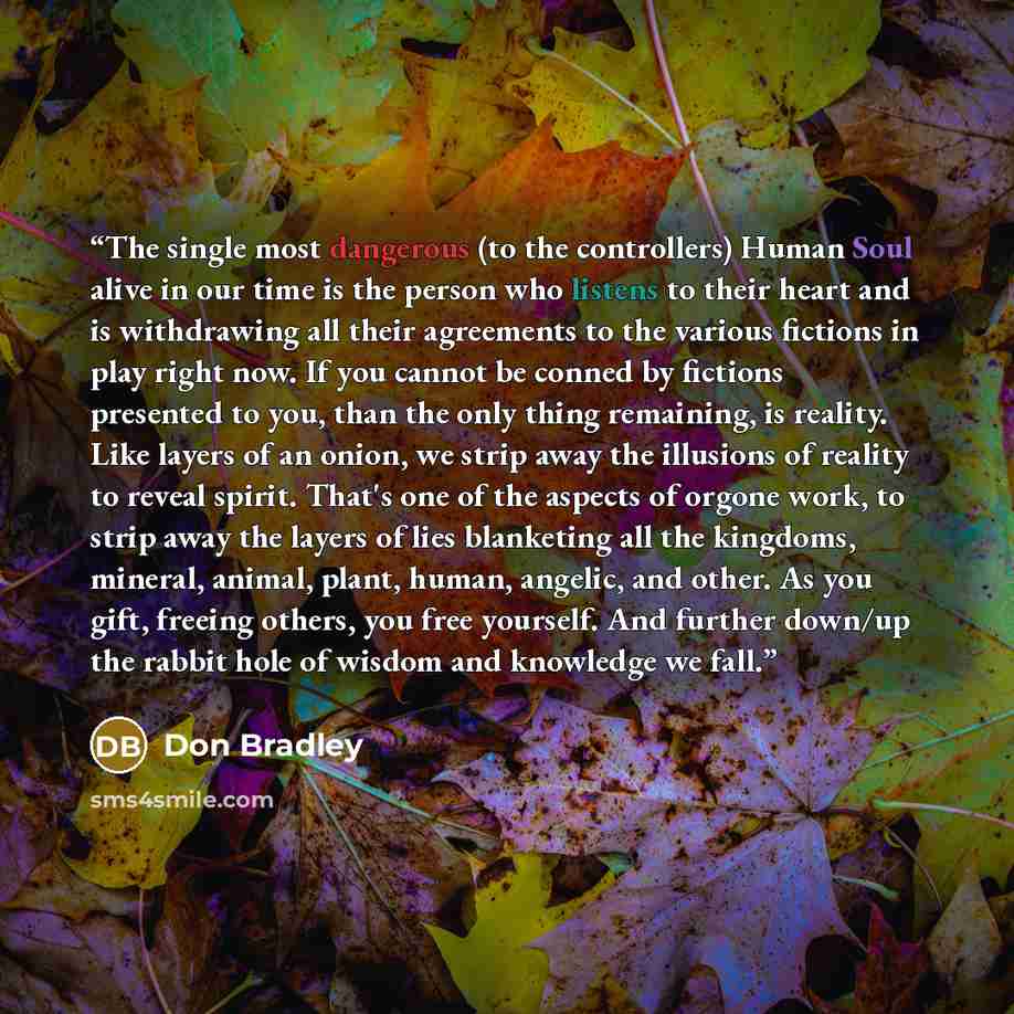 “The single most dangerous (to the controllers) Human Soul alive in our time is the person who listens to their heart and is withdrawing all their agreements to the various fictions in play right now. If you cannot be conned by fictions presented to you, than the only thing remaining, is reality…” quote by Don Bradley