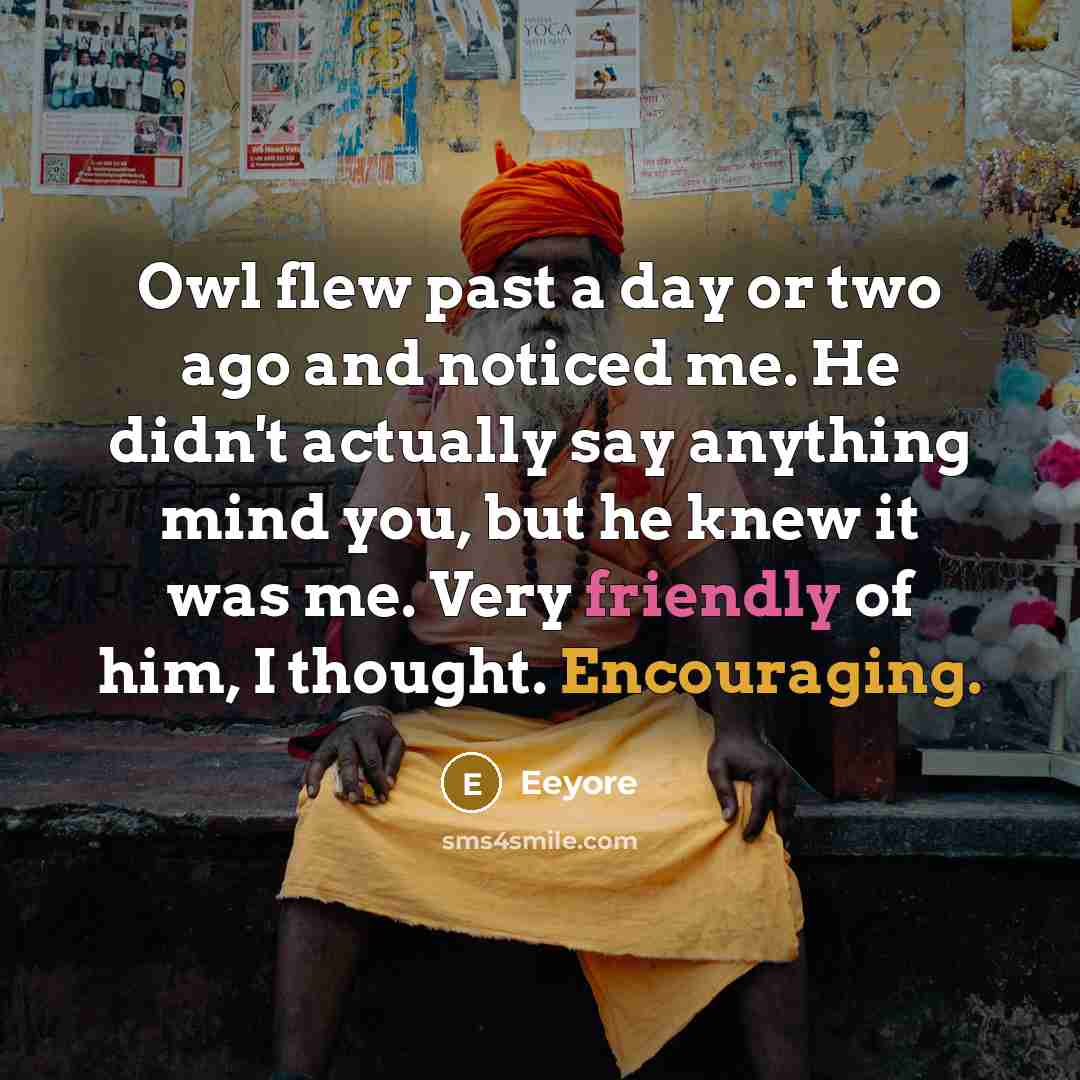 “Owl flew past a day or two ago and noticed me. He didn't actually say anything mind you, but he knew it was me. Very friendly of him, I thought. Encouraging.” quote by Eeyore