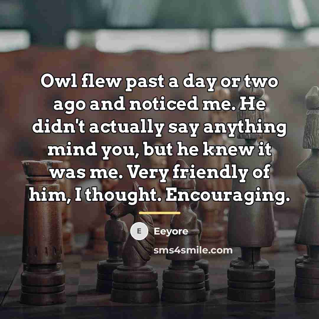 “Owl flew past a day or two ago and noticed…” quote by Eeyore