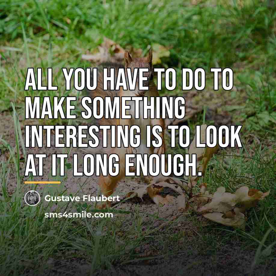 “All you have to do to make something interesting is…” quote by Gustave Flaubert