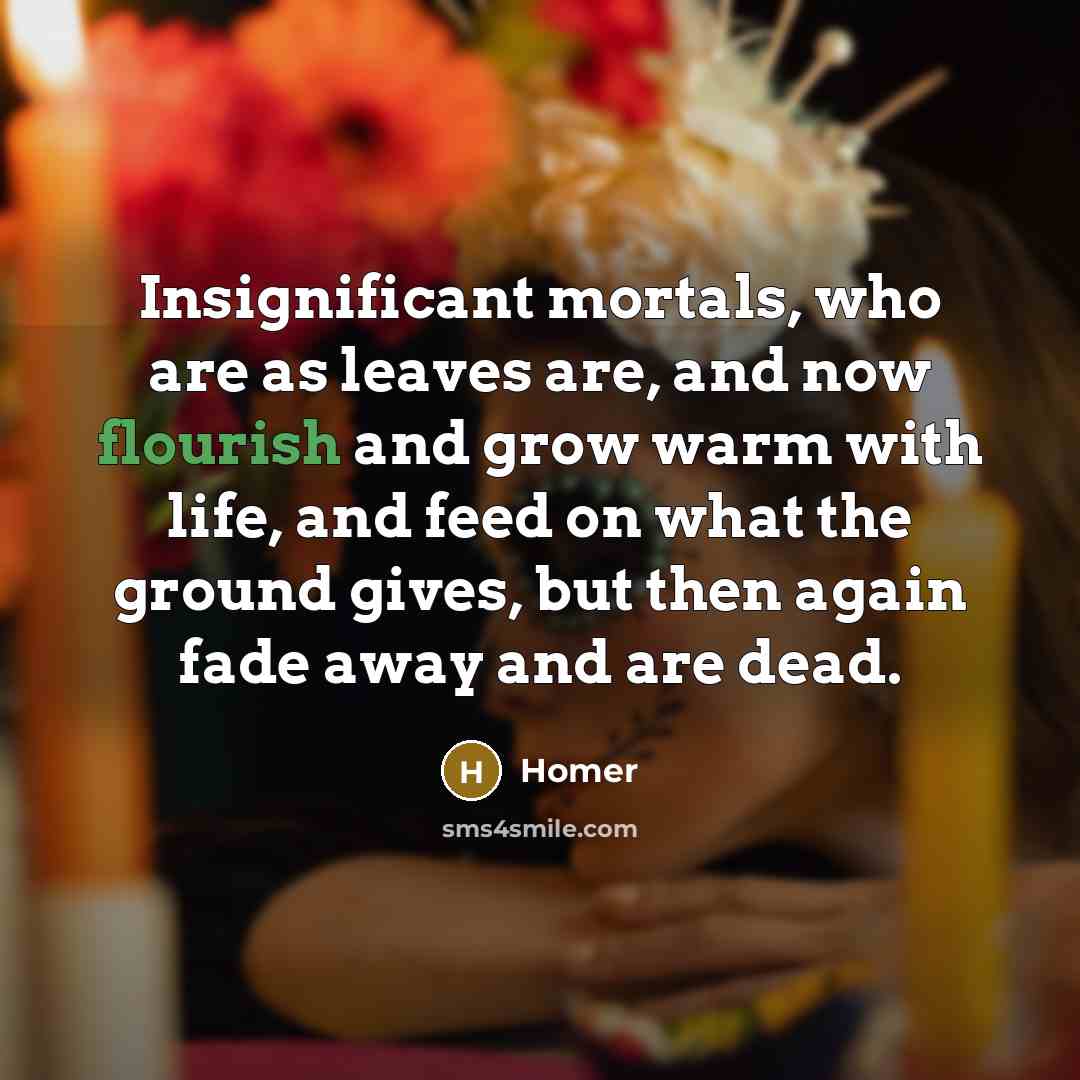 “Insignificant mortals, who are as leaves are, and now flourish…” quote by Homer