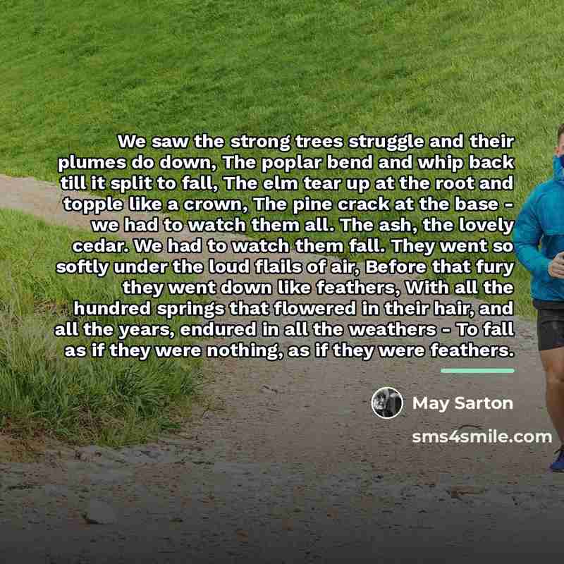 “We saw the strong trees struggle and their plumes do…” quote by May Sarton