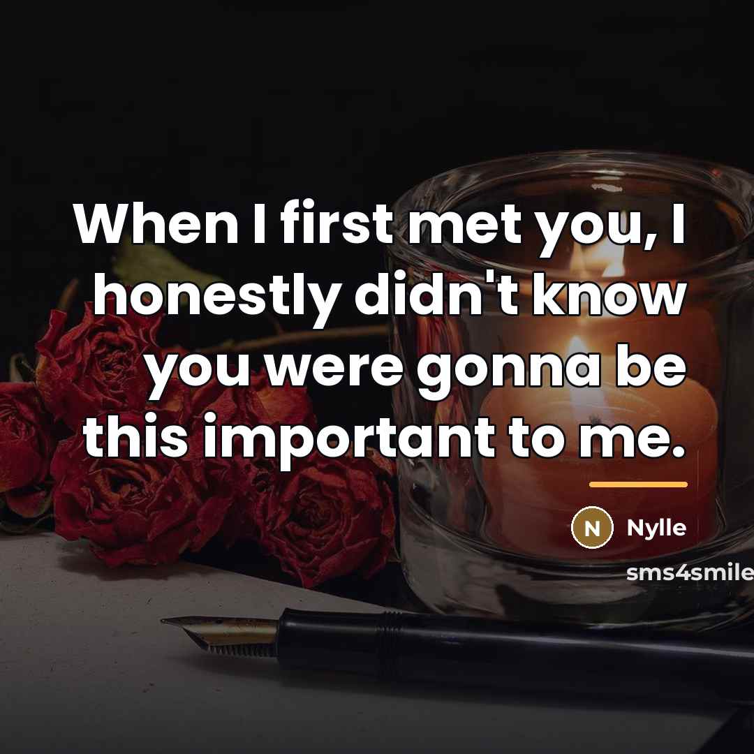 “When I first met you, I honestly didn't know you…” quote by Nylle