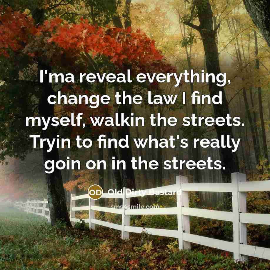 “I'ma reveal everything, change the law I find myself, walkin the streets. Tryin to find what's really goin on in the streets.” quote by Old Dirty Bastard