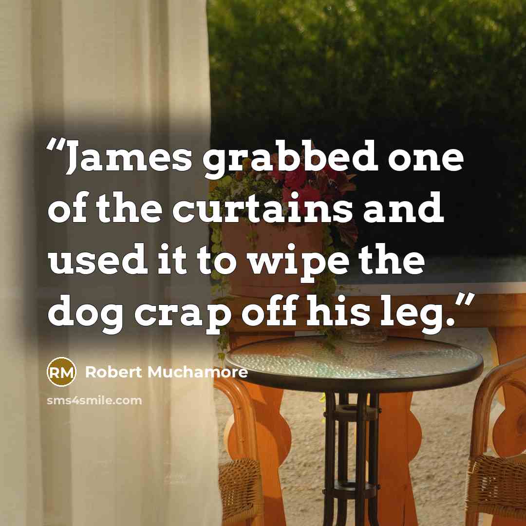 “James grabbed one of the curtains and used it to wipe the dog crap off his leg.” quote by Robert Muchamore