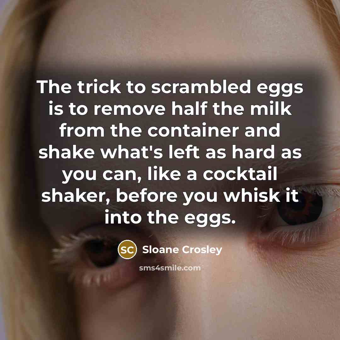 “The trick to scrambled eggs is to remove half the…” quote by Sloane Crosley