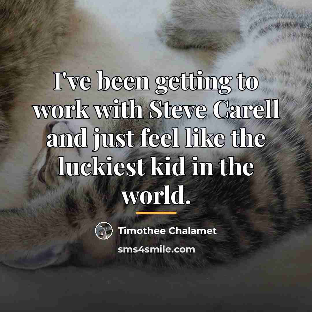 “I've been getting to work with Steve Carell and just…” quote by Timothee Chalamet