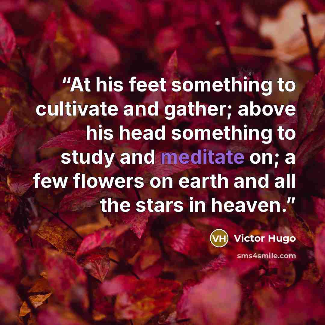 “At his feet something to cultivate and gather; above his head something to study and meditate on; a few flowers on earth and all the stars in heaven.” quote by Victor Hugo