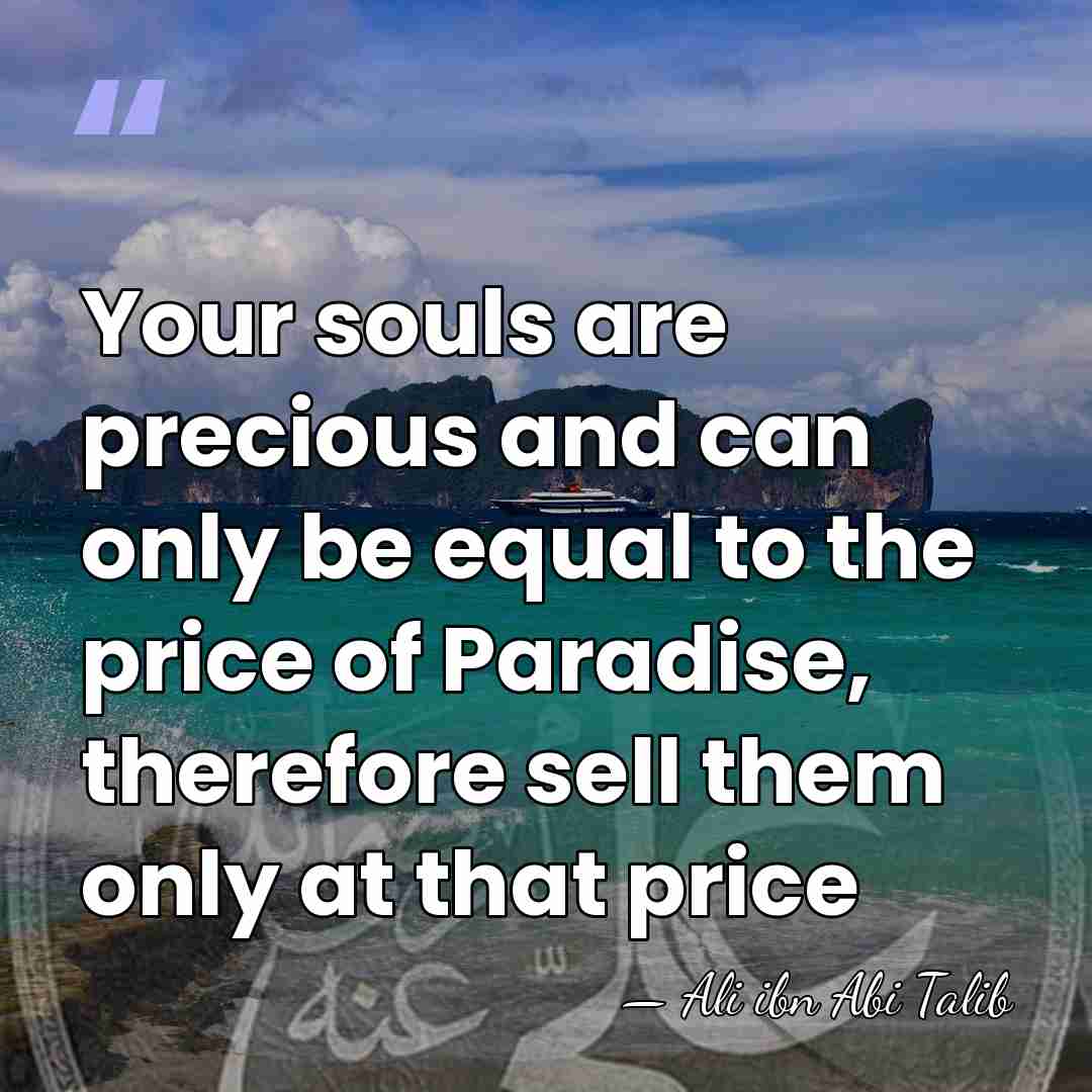 Your souls are precious and can only be equal to the price&hellip; - Ali ibn Abi Talib
