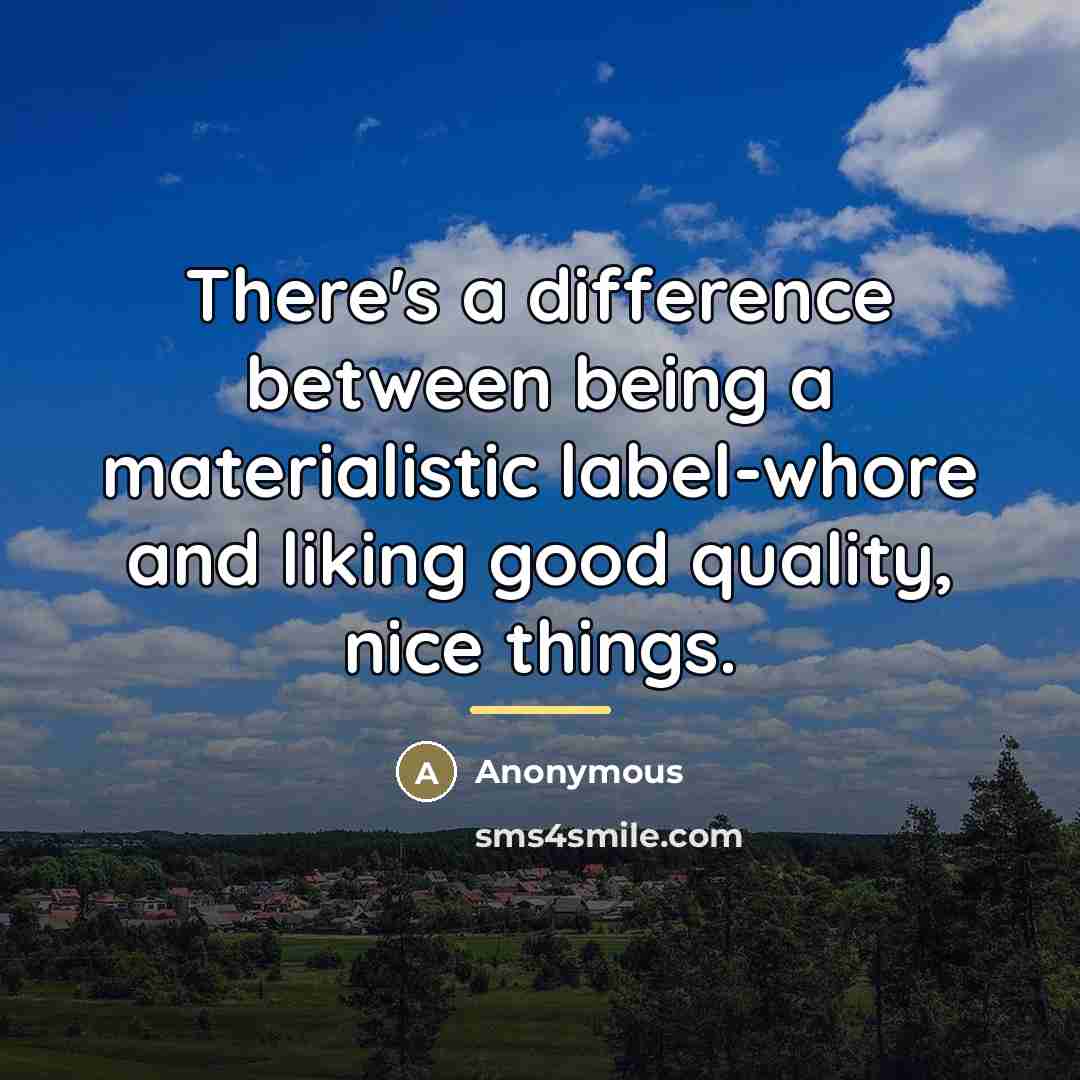 “There's a difference between being a materialistic label-whore and liking…” quote by Anonymous