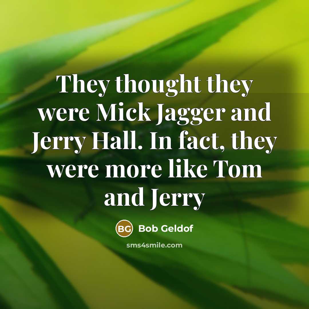 “They thought they were Mick Jagger and Jerry Hall. In…” quote by Bob Geldof