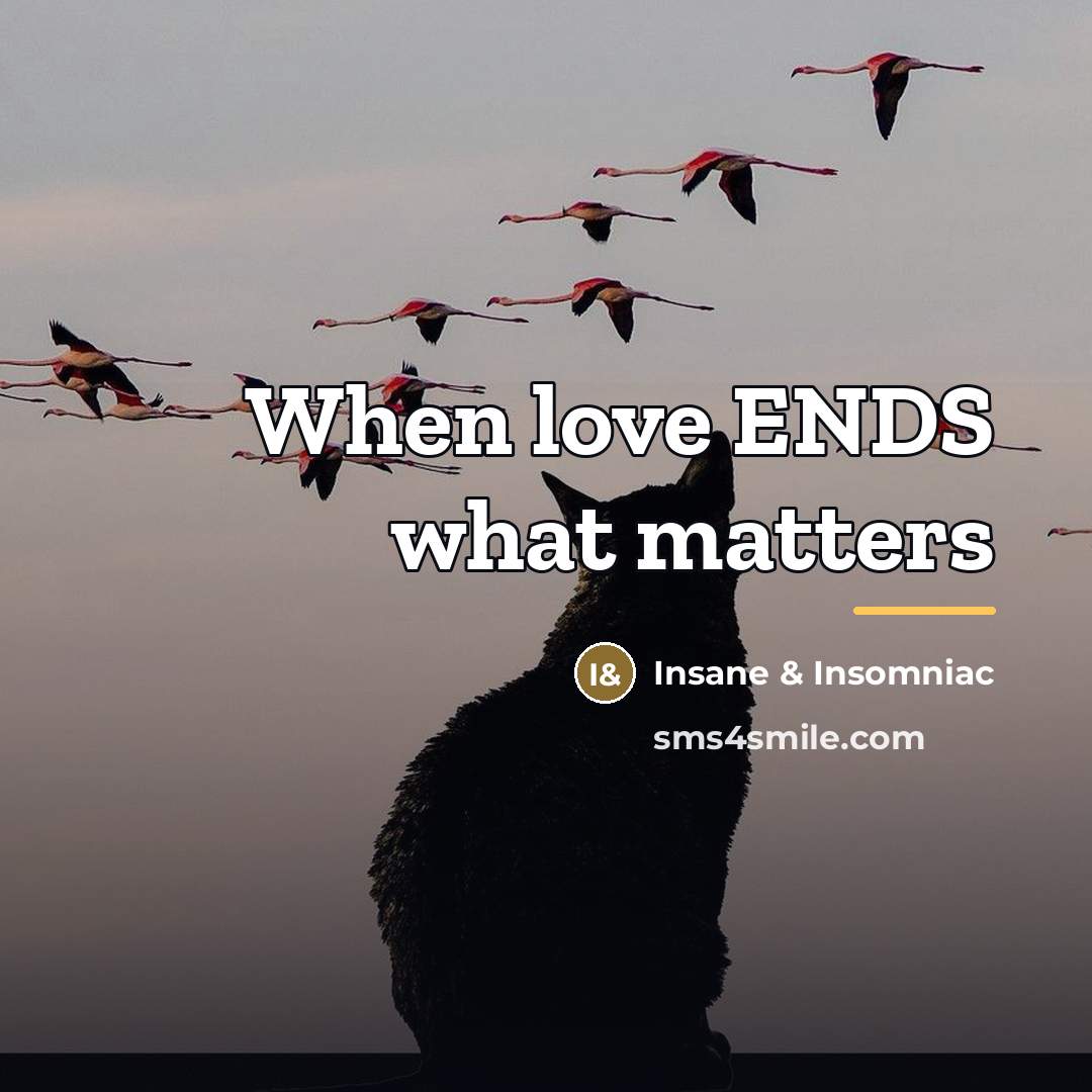 “When love ENDS what matters…” quote by Insane & Insomniac