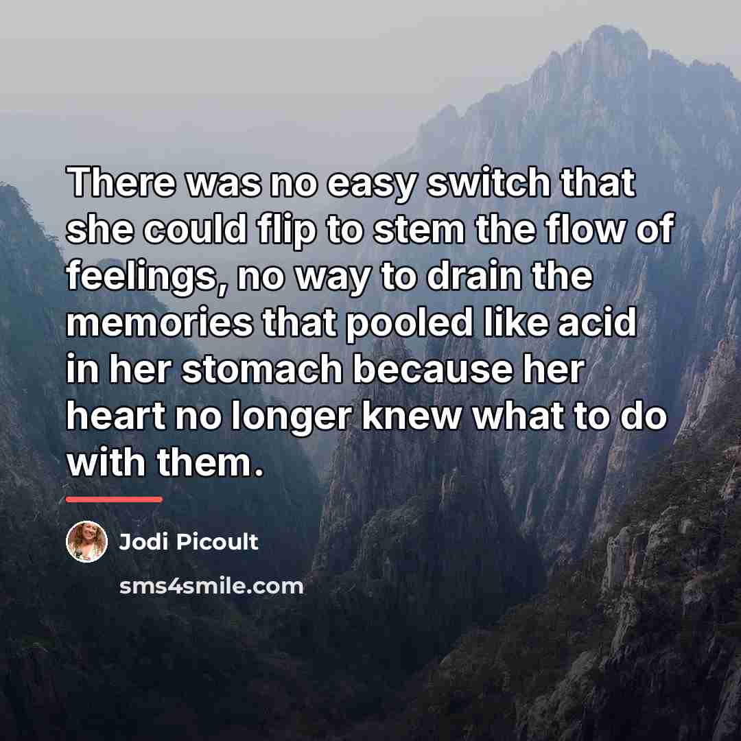 “There was no easy switch that she could flip to…” quote by Jodi Picoult
