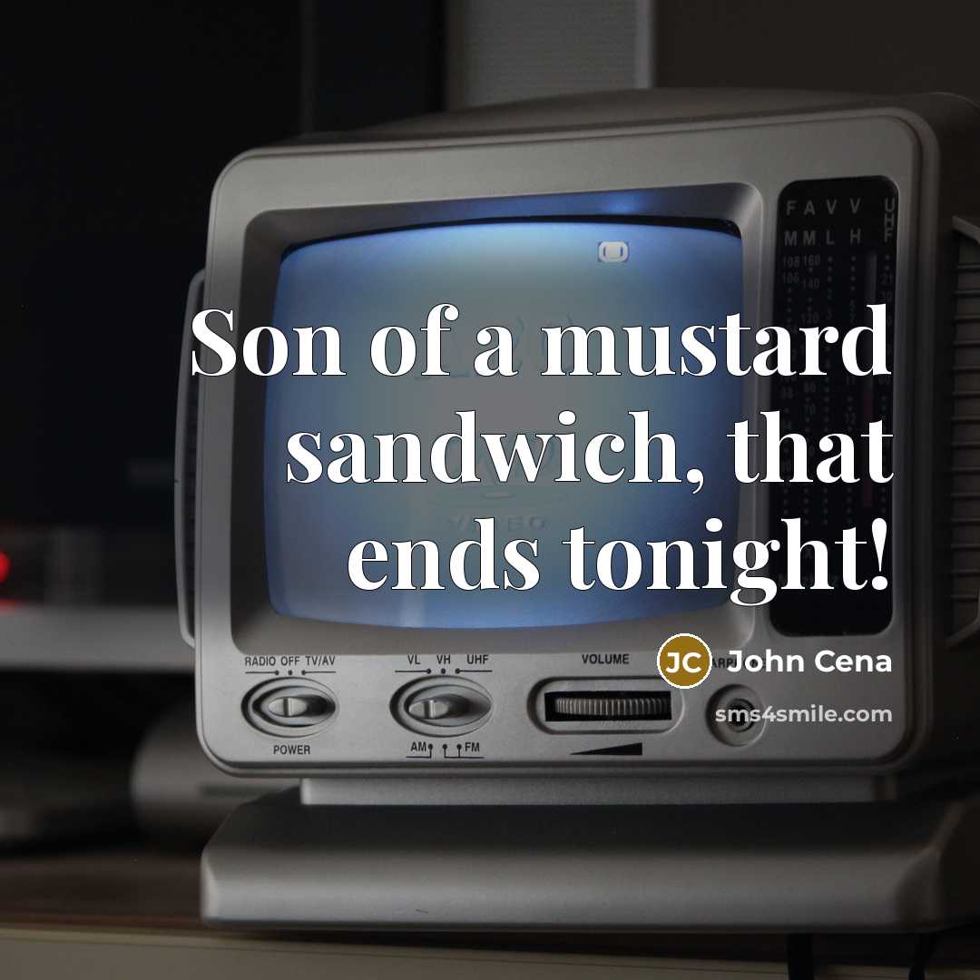“Son of a mustard sandwich, that ends tonight!…” quote by John Cena