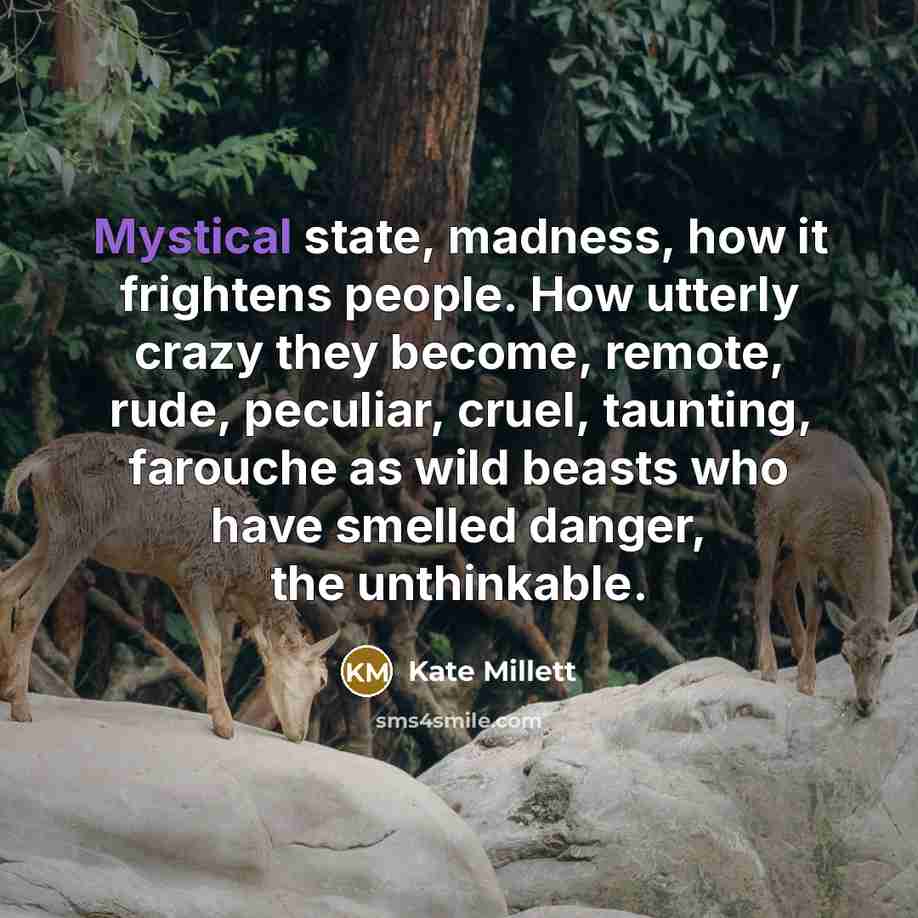 “Mystical state, madness, how it frightens people. How utterly crazy…” quote by Kate Millett