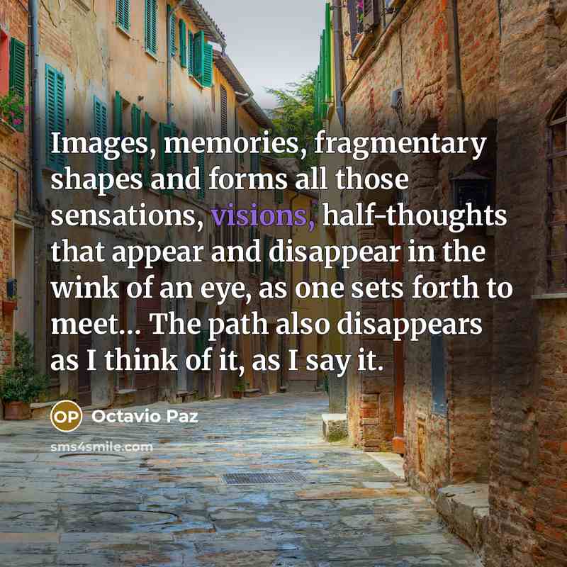 “Images, memories, fragmentary shapes and forms all those sensations, visions,…” quote by Octavio Paz
